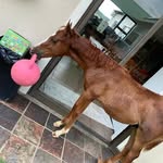 Susan Whaley - @susan.whaley.7731 - Instagram