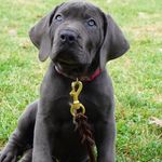 Susan Whaley - @mommawhales33 - Instagram