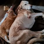 Susan Whaley - @susan.whaley.562 - Instagram