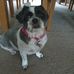 Susan Whaley - Facebook