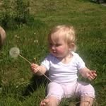 Susan Whaley - @susanwhaley63 - Instagram