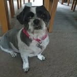 Susan Whaley - @susanwhaley58 - Instagram