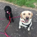 sue - @susan.wheatley1 - Instagram