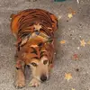 Susan Wheatley - @susan.wheatley6 - TikTok