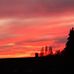 Susan Whiteley - Facebook
