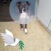 Susan Whitt - Facebook