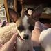 Susan Whitt - Facebook