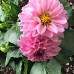 Susan Whyte - @susan.whyte.2020 - Instagram