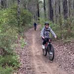 Susan Whyte - @susan.whyte.3154 - Instagram