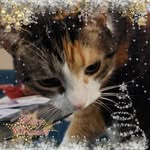 Susan Wickert - @susan.wickert.9 - Instagram