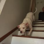 Susan Wickham - @susanwic - Instagram