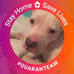 Susan Wickham - @smadw3 - Instagram
