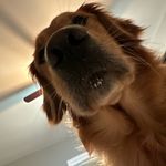 Spwick - @susan.wickware - Instagram
