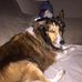 Sue Wike - Facebook