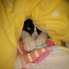 Susan Wyke - @susanwyke - TikTok