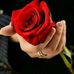 Susan Wilbert - Facebook