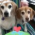 Susan Willer - Facebook