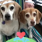 Susan Willer - @susan.willer.3 - Instagram