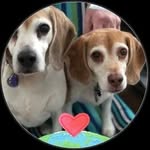 Susan Willer - @susan.willer.30 - Instagram