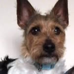 Susan Winch - @susanwinch - Instagram