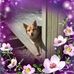 Susan Winch - Facebook