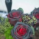 Susan Winchester - @winchestersusan - Instagram