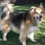 Susan Winchester - @susan.winchester.75 - Instagram
