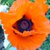 Suzan Winch - Facebook