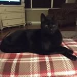 Susan Windham - @s_windham - Instagram