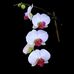 Sue Winterton - Facebook