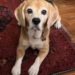 Susan Winterton - @susanwinterton11 - Instagram