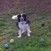 Susan Wolin - Facebook