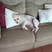 Susan Womack - Facebook