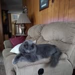 Susan Womack - @womack8646 - Instagram