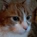 Sue Womble - Facebook