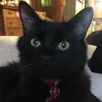 Susan Wren - @susan.wren.963 - Instagram