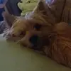 Susan - @susanwulff2 - TikTok