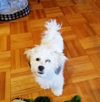 Susan Wulff - Facebook