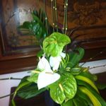Susan Stevens Wunderlich - @wunderlich708 - Instagram