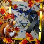 Susann Wunderlich - @wunderlichsusann - Instagram