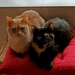 Susanne Wunderlich - @susanne.wunderlich80 - Instagram