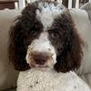 Susan Wygant881 - @susanwygant881 - TikTok