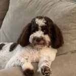 Susan Wygant - @susanwygant - Instagram