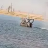 Susan Xue455 - @susanxue1 - TikTok