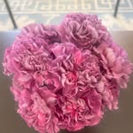 Susan Yager - @yager2125 - Instagram