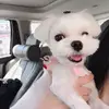 susanyoungkaren_2034 - @susanyoungkaren_2034 - TikTok