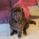 Susan Youngs - @susan.youngs.9 - Instagram