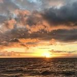 Susan Youngs-Stengel - @youngsstengel - Instagram