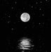 Suzan Zayed - Facebook