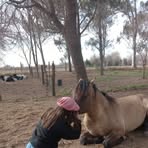 Susana Aranda - Facebook